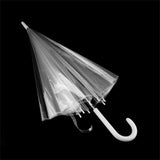 Transparenter Regenschirm Asia - Sabera صَبَرَ Onlineshop